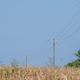 Image for article titled Texas Power Companies Are Remotely Raising Temperatures on Residents' Smart Thermostats
